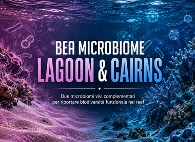 MICROBIOME BEA
