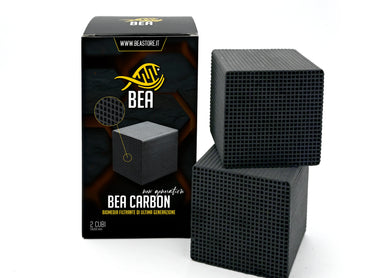 Actualités : BEA CARBON « Nouvelle Génération »