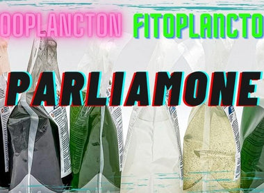 Zooplancton et Phytoplancton : analysons les produits BEA de DaniReef