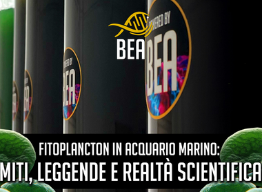 Le phytoplancton dans les aquariums marins : entre mythes, légendes et réalité scientifique.