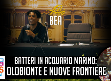 Batteri in acquario marino: Olobionte e nuove frontiere | con Nicola Lo Duca