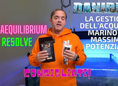 Bea Resolve et Bea Aequilibrium par DaniReef 