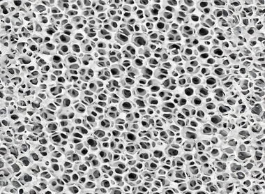 Nitrites, métaux et biomédias : démystifier la désinformation.