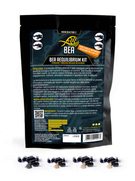 BEA Aequilibrium Kit