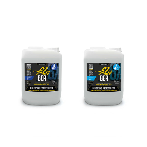 Protocole de dosage BEA Pro - KH1+KH2