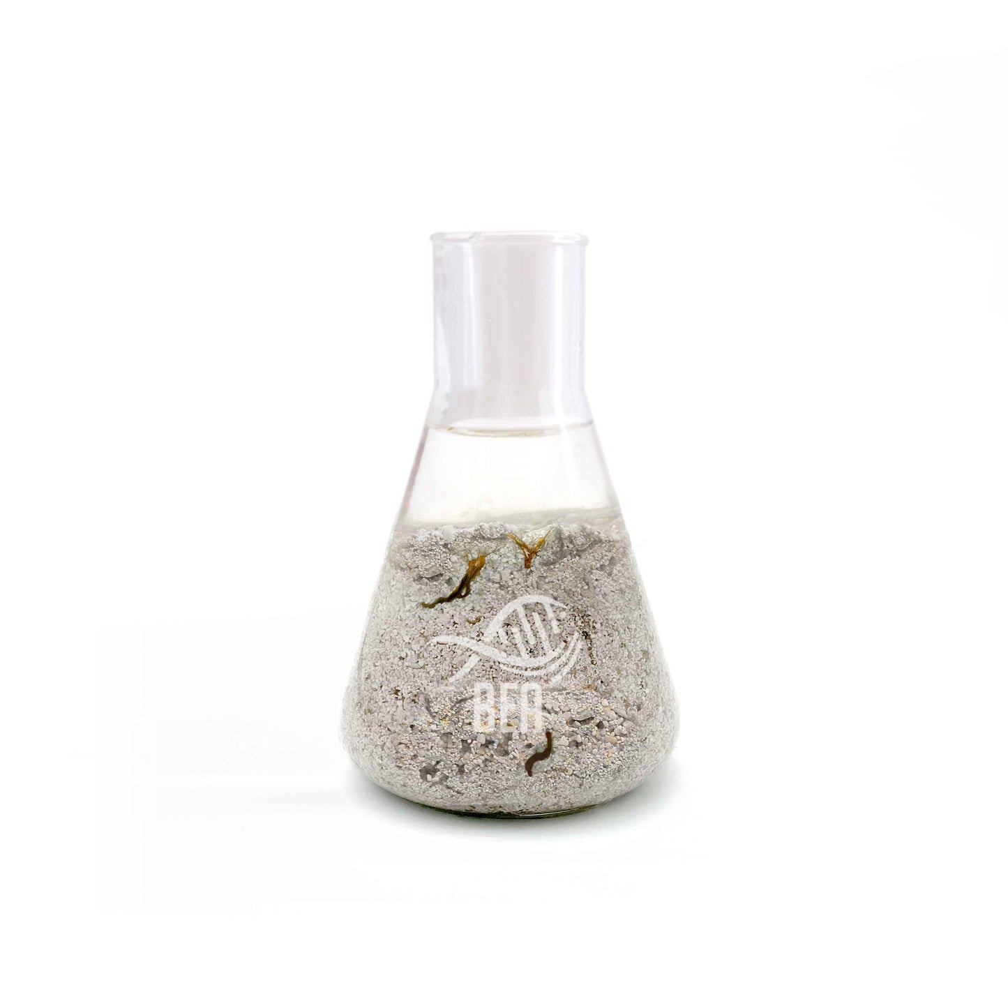 Inoculation du sable BEA